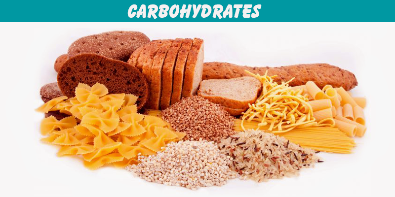 Carbohydrate là gì